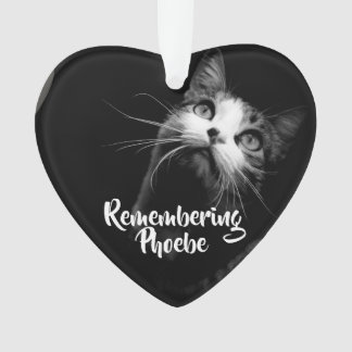 Enfeites de natal Lembrando seu gato