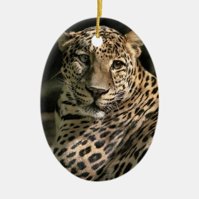 Enfeites de natal Leopardo Jovem (Frente)
