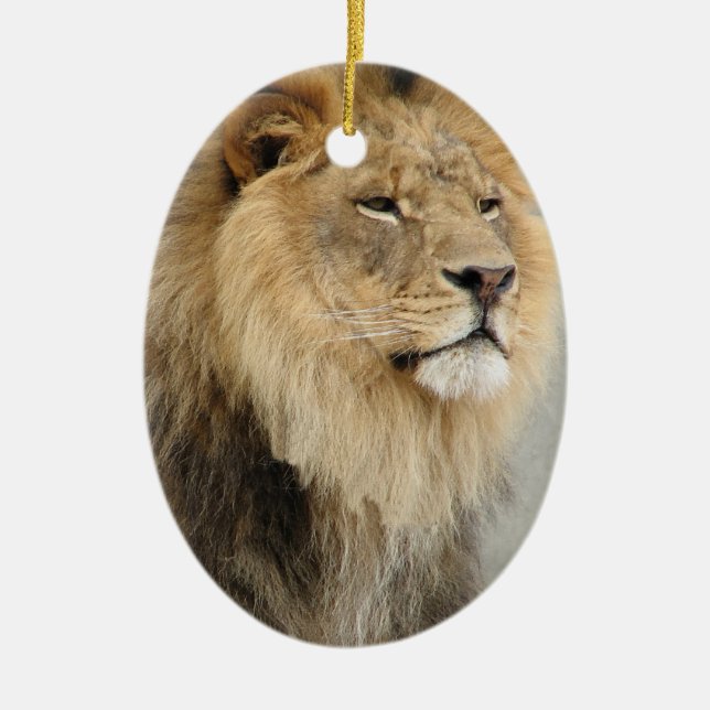 Enfeites de natal Lion Lovers (Frente)