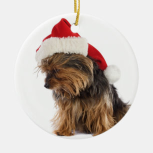 Enfeites de natal maus de Yorkie