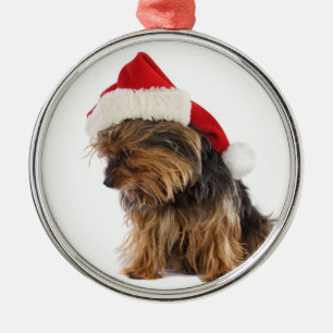 Enfeites de natal maus de Yorkie