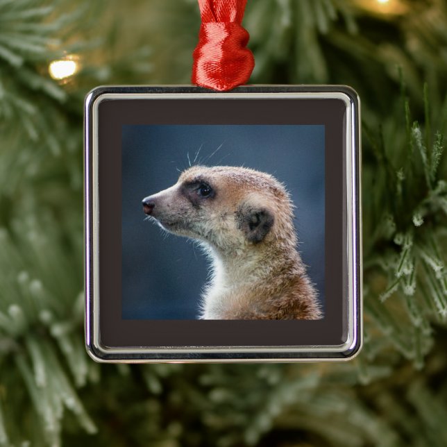 Enfeites de natal Mercurial Meerkat (Árvore)