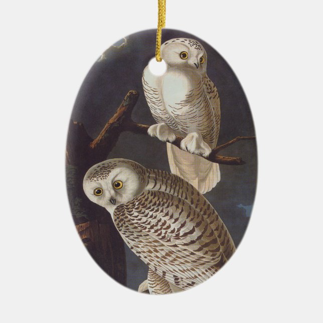 Enfeites de natal Oval Snowy White Owl (Frente)