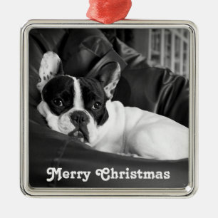 Enfeites de natal para Bulldog Francês Personaliza