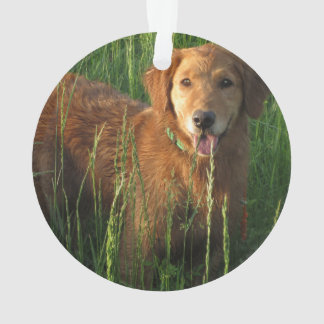 Enfeites de natal para Ouro