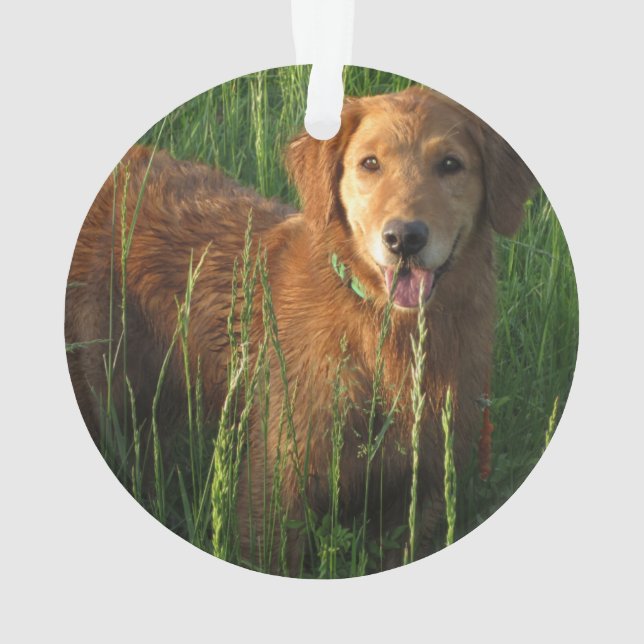 Enfeites de natal para Ouro (Verso)