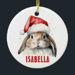 Enfeites de natal Personalizado Bunny Rabbit<br><div class="desc">Enfeites de natal Personalizado Bunny Rabbit</div>