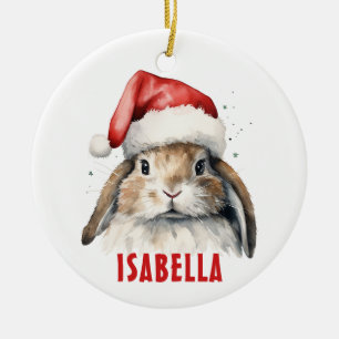 Enfeites de natal Personalizado Bunny Rabbit