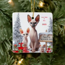Enfeites de natal Personalizado da Família Sphynx