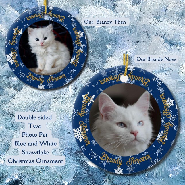 Enfeites de natal Pet de Fotografia agora e depois (Custom Then and Now double sided photo Ornament Blue and white Snowflake and custom name)