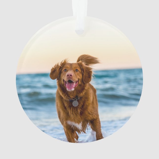 Enfeites de natal Pet Personalizados (Verso)