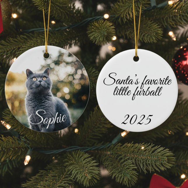 Enfeites de natal Pet Photo (Personalized Pet Photo Christmas treet ornament)