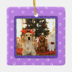 Enfeites de natal Pet Puro bonito
