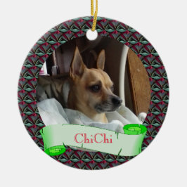 Enfeites de natal Pet surpreendente