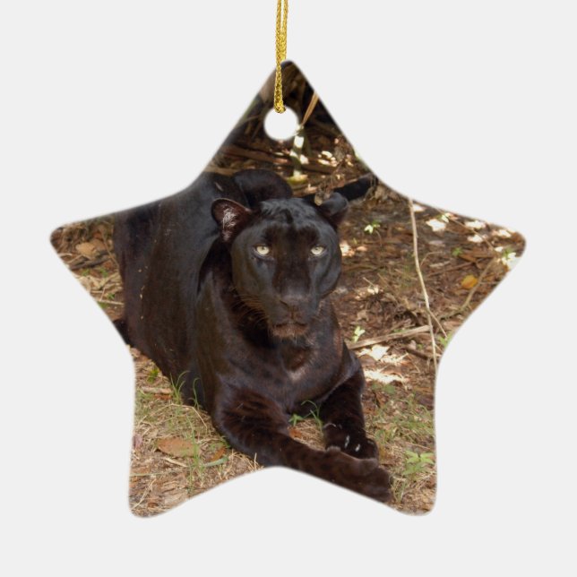 Enfeites de natal pretos do leopardo (Frente)