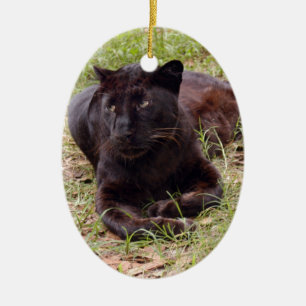 Enfeites de natal pretos do leopardo