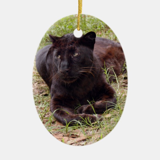 Enfeites de natal pretos do leopardo (Frente)