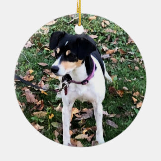Enfeites de natal RAT TERRIER DOG