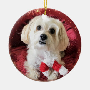Enfeites de natal redondos do cão de Morkie do