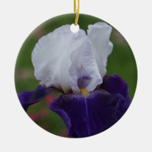 Enfeites de natal Roxo Iris Flor