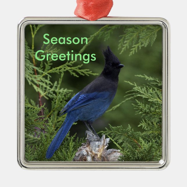 Enfeites de natal Stellar Jay (Frente)