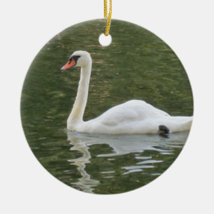 Enfeites de natal Swan Nadador