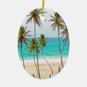 Enfeites de natal tropicais da praia