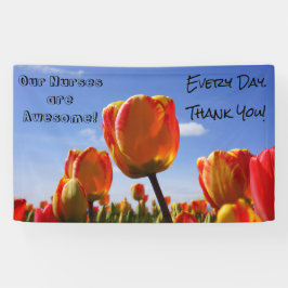 Enfermeiras da apreciação da enfermeira das