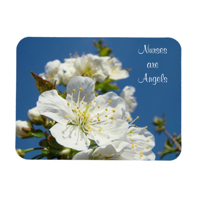 Enfermeiras são Anjos ímãs Céu Azul Flores de Cere (Horizontal)