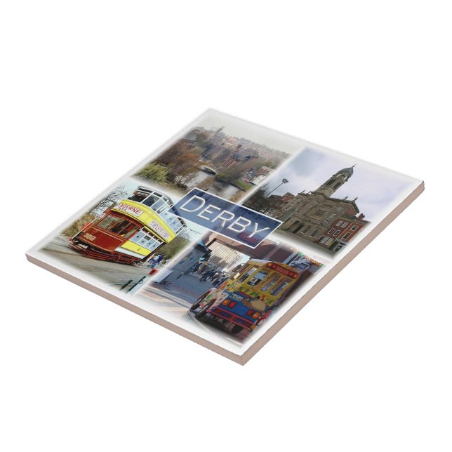 ENG033 DERBY, Inglaterra, Europa, geladeira (Lateral)