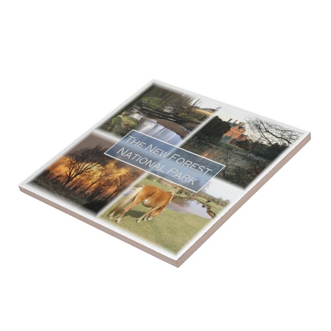 ENG041 O NOVO PARQUE NACIONAL FORET, Inglaterra, (Lateral)