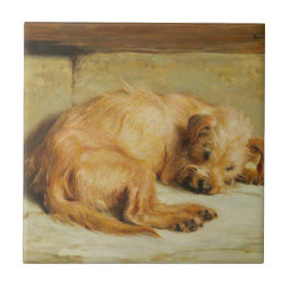 English Cocker Spaniel Dog (por Briton Rivière)
