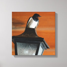 Engolir em uma Canvas de Solteiro de fotografia da