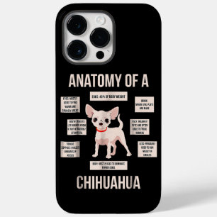 Engraçada Anatomia Do Presente De Um Chihuahua