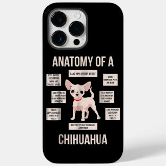 Engraçada Anatomia Do Presente De Um Chihuahua
