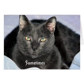 Engraçado Agitar meu Cartão de Cabeça