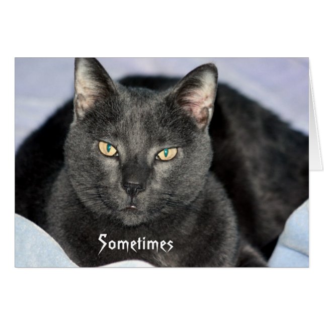 Engraçado Agitar meu Cartão de Cabeça (Frente Horizontal)