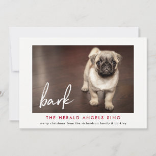 Engraçado Cartões de foto de Natal do Cão   Vermel