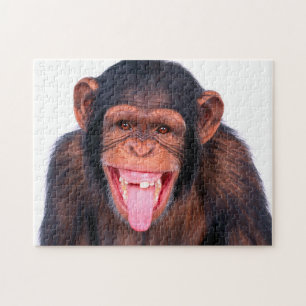 Engraçado Chimpanzé Retrato, Quebra-cabeça de J