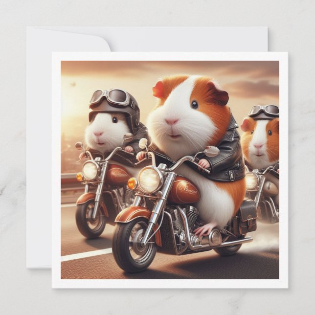 Engraçado Convite para Porcos Guiné, aniversário d (Frente)