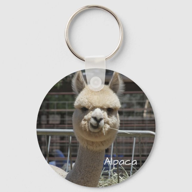Engraçado Engraçado Alpaca Chaveiro (Frente)