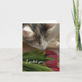 Engraçado Eu Te Amo do Cartão do Gato