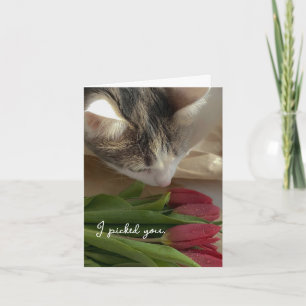 Engraçado Eu Te Amo do Cartão do Gato