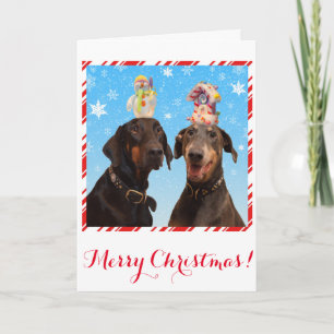 Engraçado, fofo cartão de Natal de cão Doberman