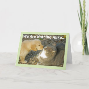 Engraçado, Gatinho Com Amor Romance Cartão Saudaçã