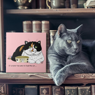 Engraçado Gato Malhado Mimado Alimentar Gato Rosa