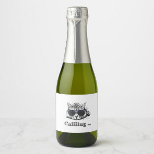 Engraçado Gato Refrigerado Com Óculos De Sol Bonit