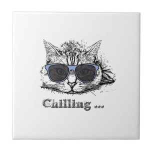 Engraçado Gato Refrigerado Com Óculos De Sol Bonit