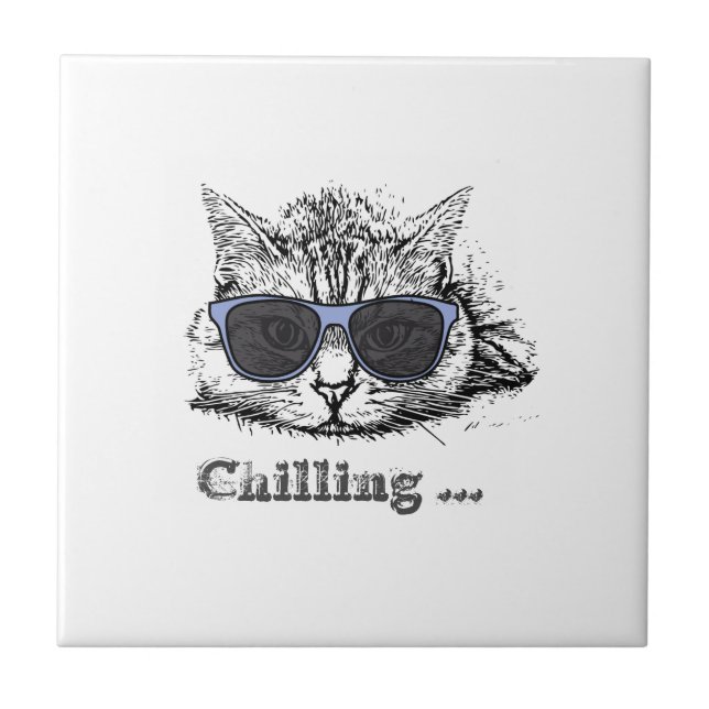 Engraçado Gato Refrigerado Com Óculos De Sol Bonit (Frente)