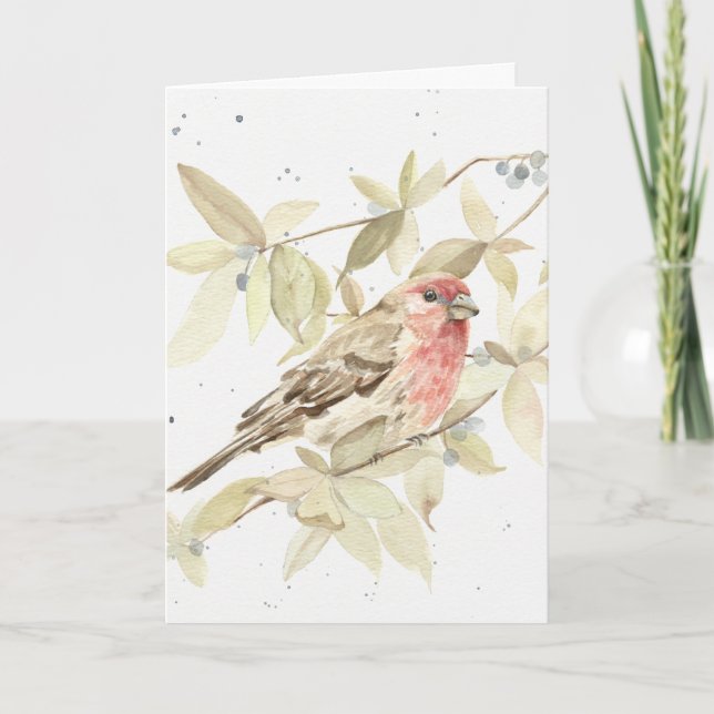 Engraçado - House Finch Happy Birthday - Cartão de (Frente)